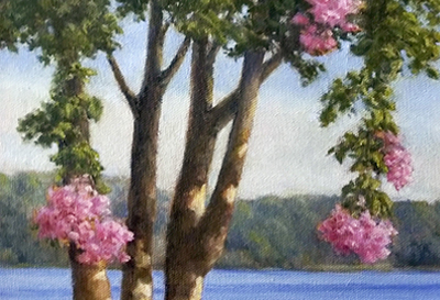 Belmont Bay oil painting